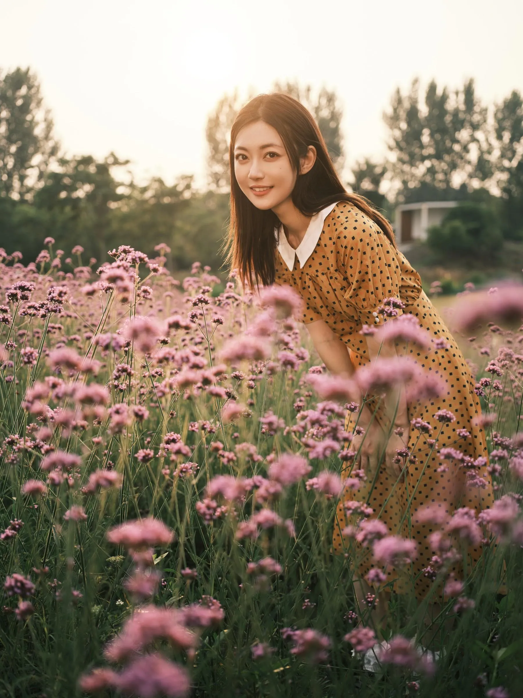 [YITUYU艺图语]2022.08.08 硫华菊柳叶马鞭草-是夏天的味道呀！ 飞鸟咕咕- [44P]插图7